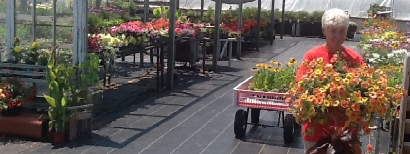 Mari with petunias outside